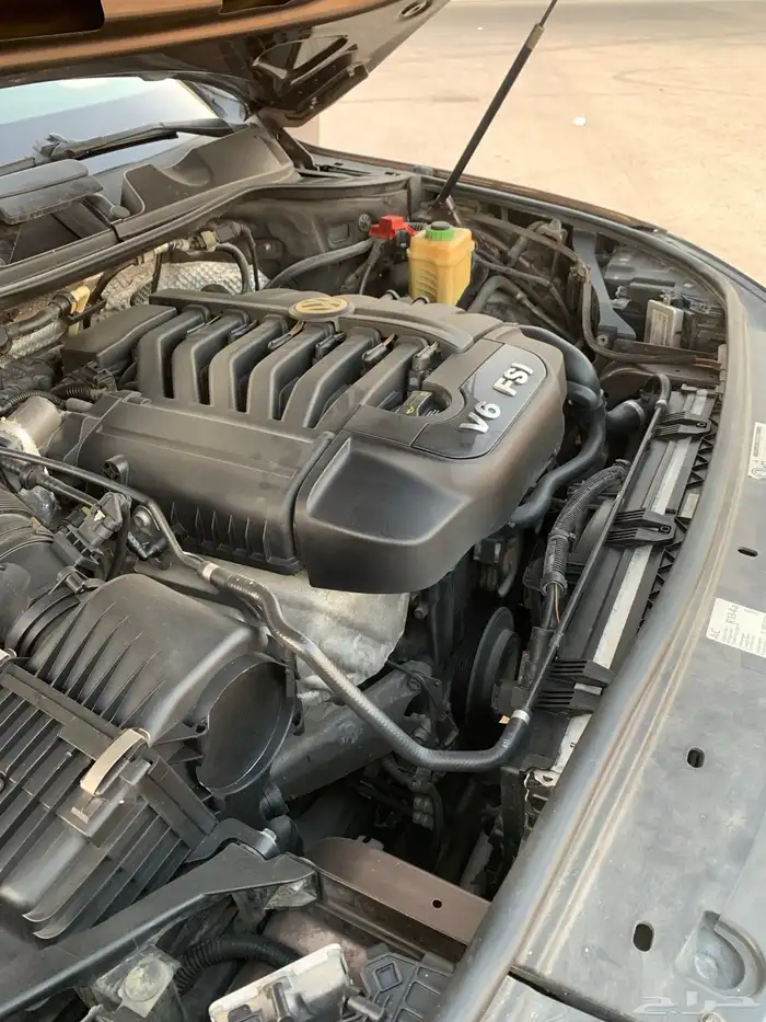 طوارق فل كامل دبل بنورما 19