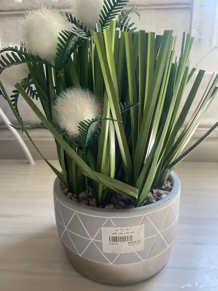 غلاية حليب وبسترة الحليب آلة القهوه كبسولات شبه جديده 3