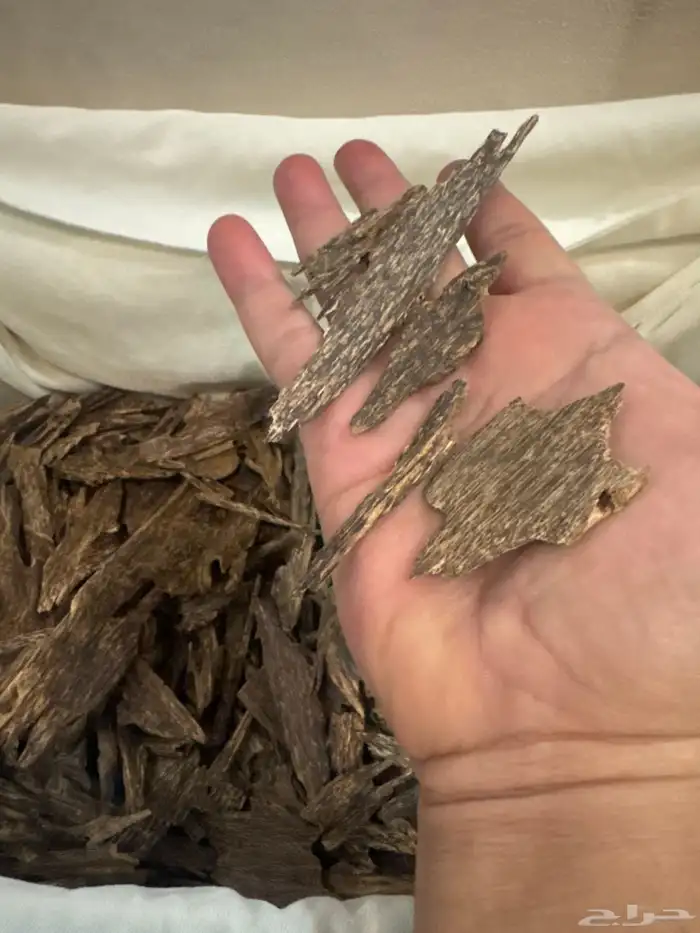 عود كاليمنتان بونتيانك طبيعي 100   100 0