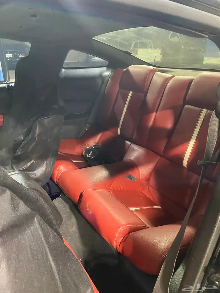 للبيع او البدل المناسب موستنق نظيف محول شلبي 2