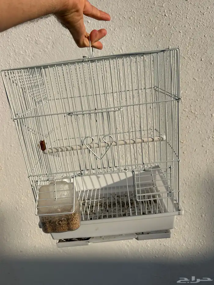 قفص طيور مجموعة 1