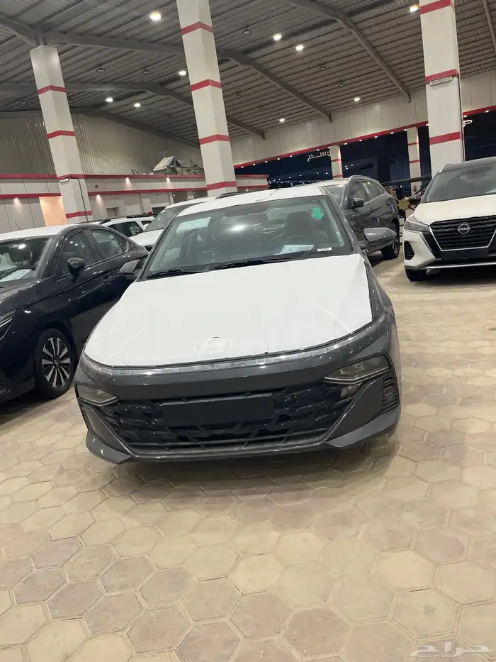 اكسنت فليت 2026 0