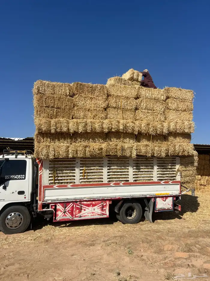 تبن بر صافي ناعم 1