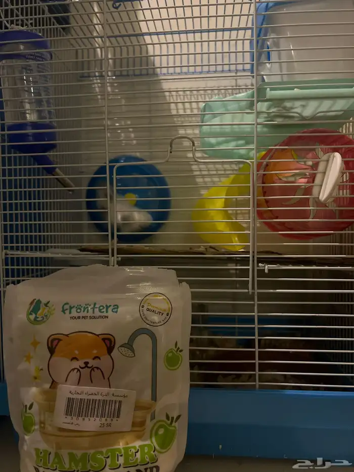 ها مستر للبيع فرنسي 2