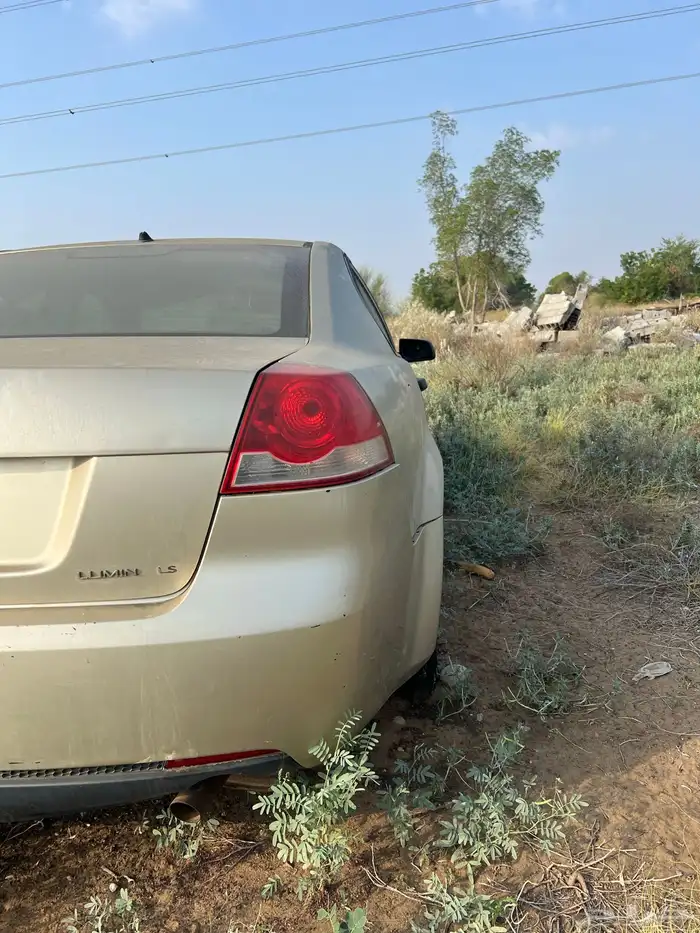 لومينا تشليح 1