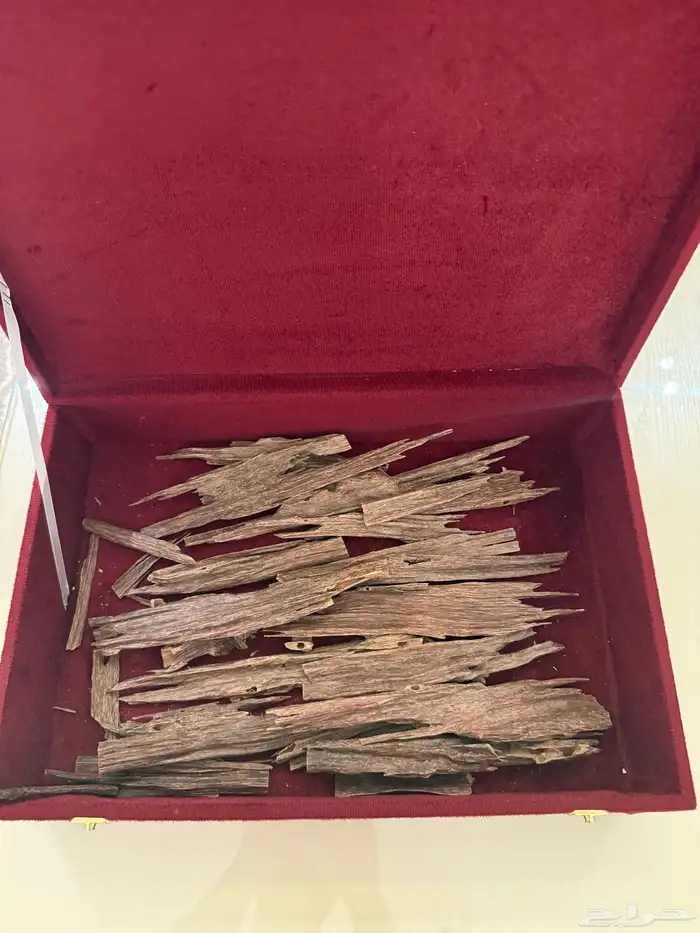 فرصةعود هندي طبيعي للبيع عاجل 0