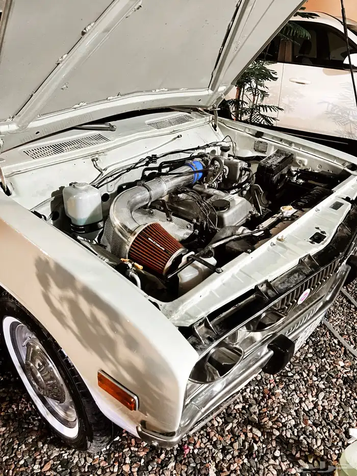 ددسن موديل 1977 6