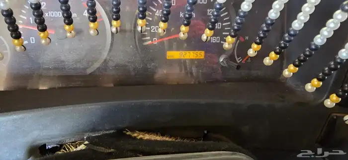 دينا ايسوزو 2014 3