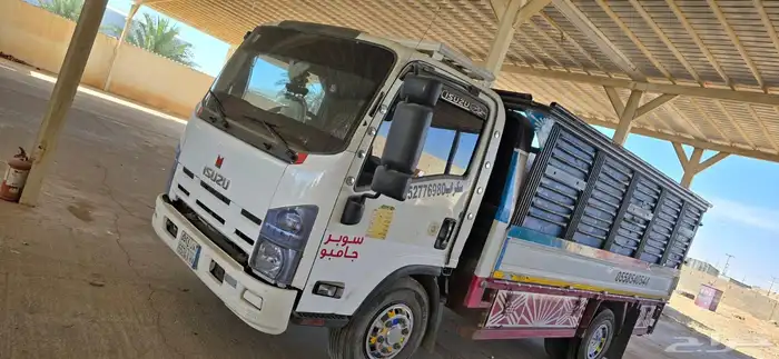 دينا ايسوزو 2014 2