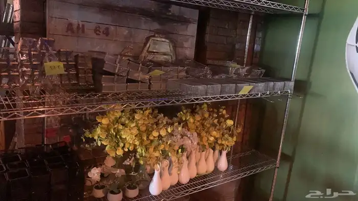 خميس مشيط حي نعمان جوار القاعده الجويه 19