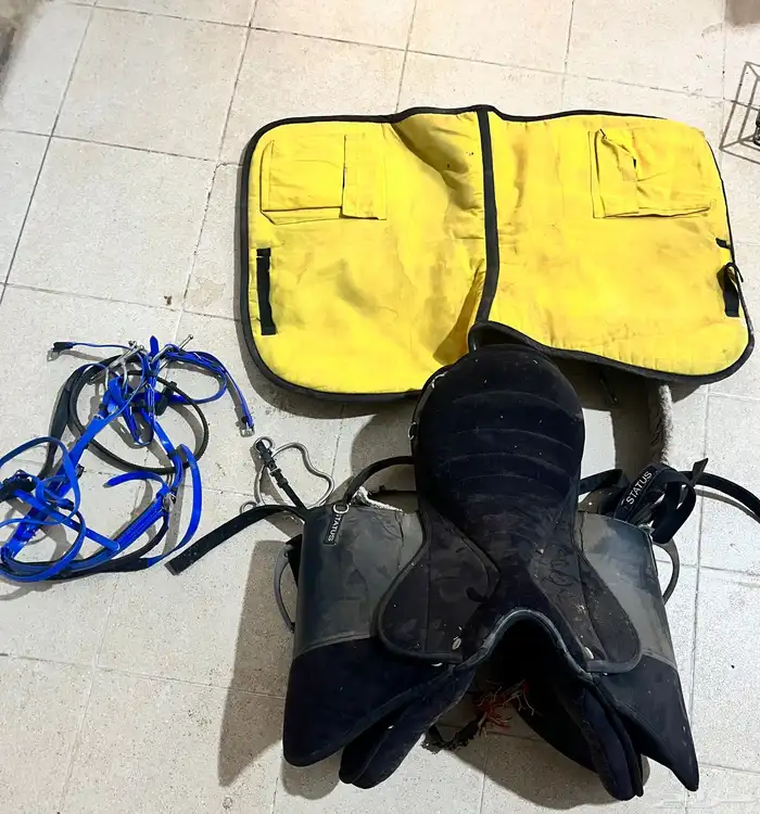 سرج ولجام خيل للبيع شبه جديدات 0