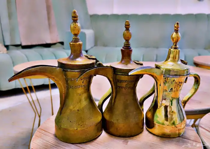 دلال قرشيه 13