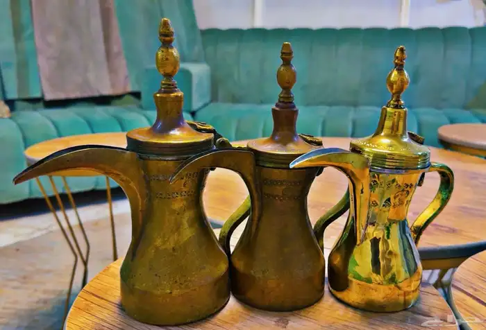 دلال قرشيه 14