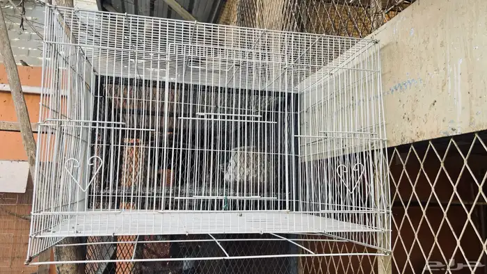قفص طيور للبيع ب50 في بيشة 0