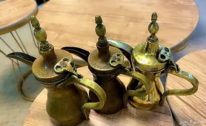 دلال قرشيه 11