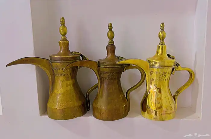 دلال قرشيه 8