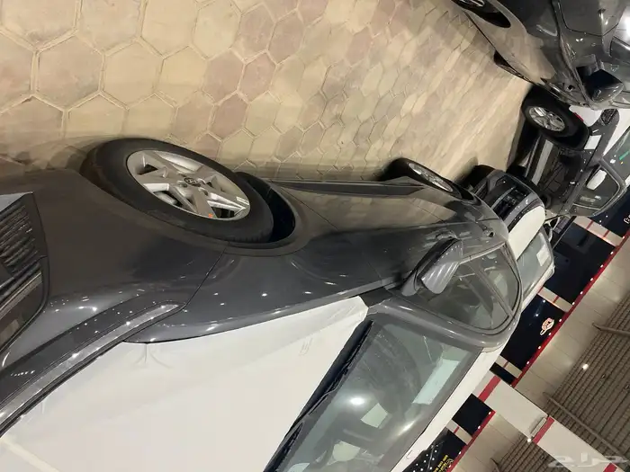 اكسنت فليت 2026 2