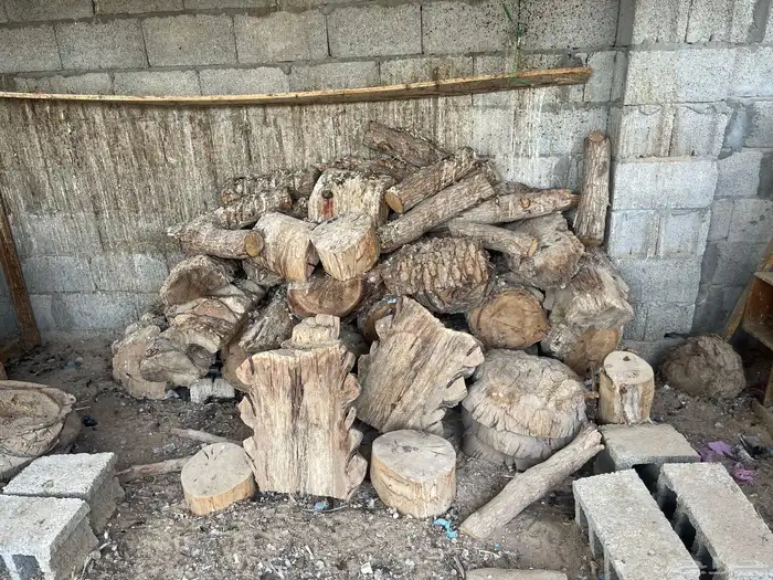 جذوع للمندي جاهز 0