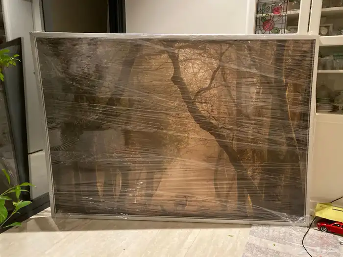 صور من ايكيا 1