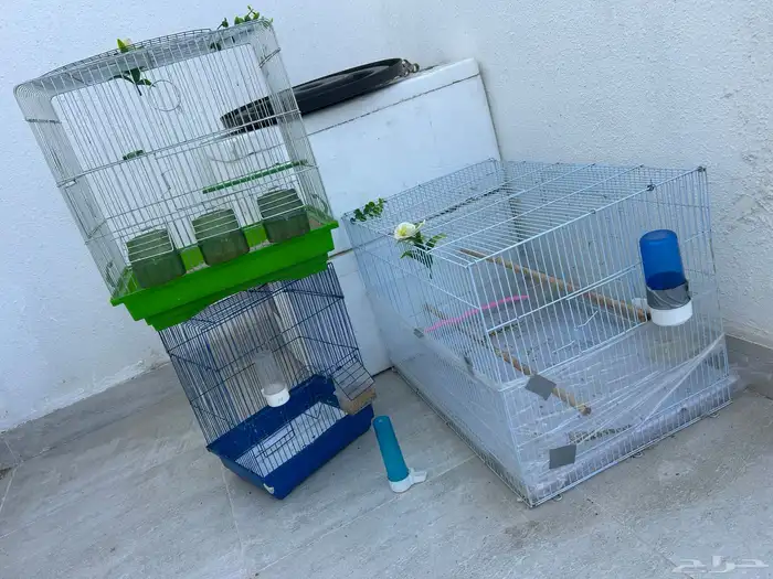 قفص طيور مجموعة 4