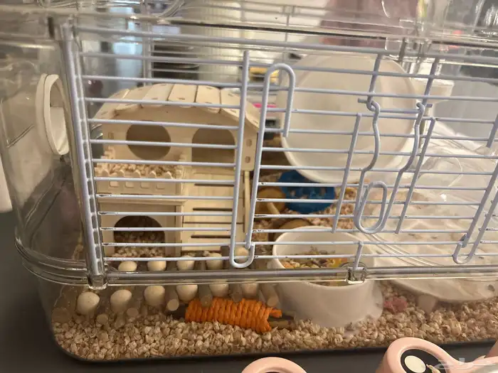 قفص هامستر مع العاب ورمل للبيع 0