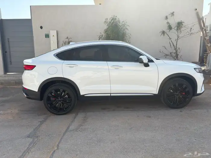 توجيلا 2023 وكاله 3