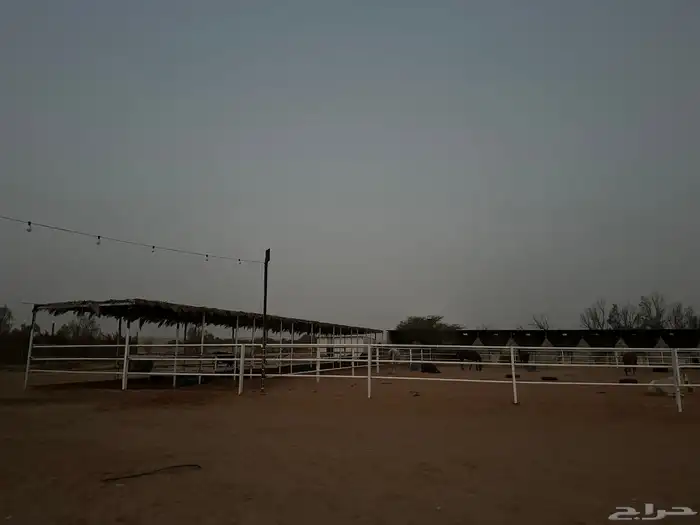 إيواء خيل ملهم 5