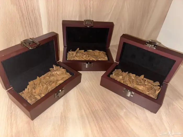 عود طبيعي مروكي مني استخدام شخصي 0