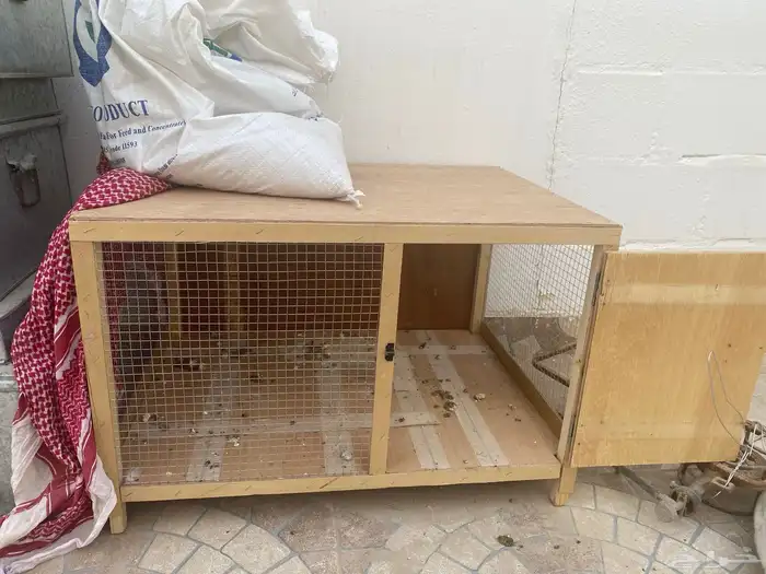 دجاجتين وديك مع قفصها 1