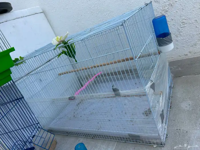 قفص طيور مجموعة 3