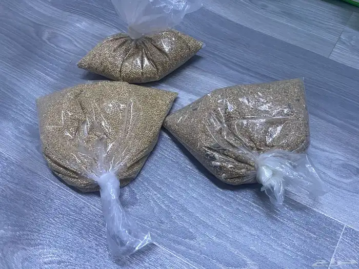 اسلام عليكم ورحمة الله وركاته عندي ثنين زيبرا نضيفين جدااا 0