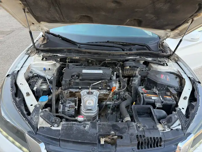 هونداء اكورد 2014 10