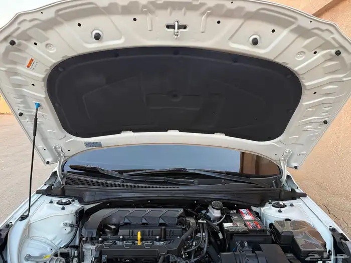 النترا 2022 بنزين 39