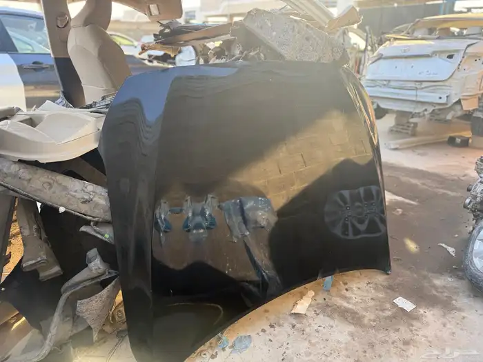 كبوت جنسس 2015 الى 2019 1