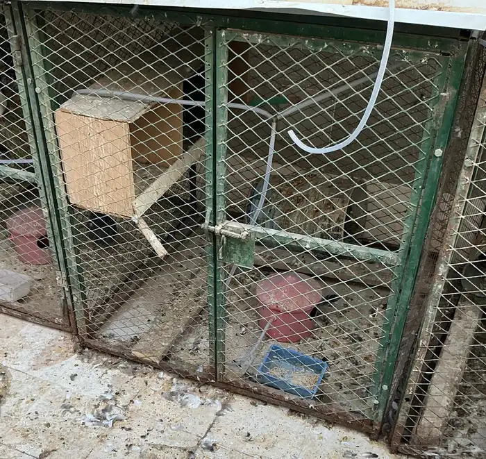 عشش مطير ومحكر حديد للبيع 1