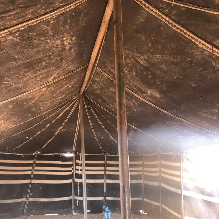 بيت شعر 5 11 تقريب ا 2