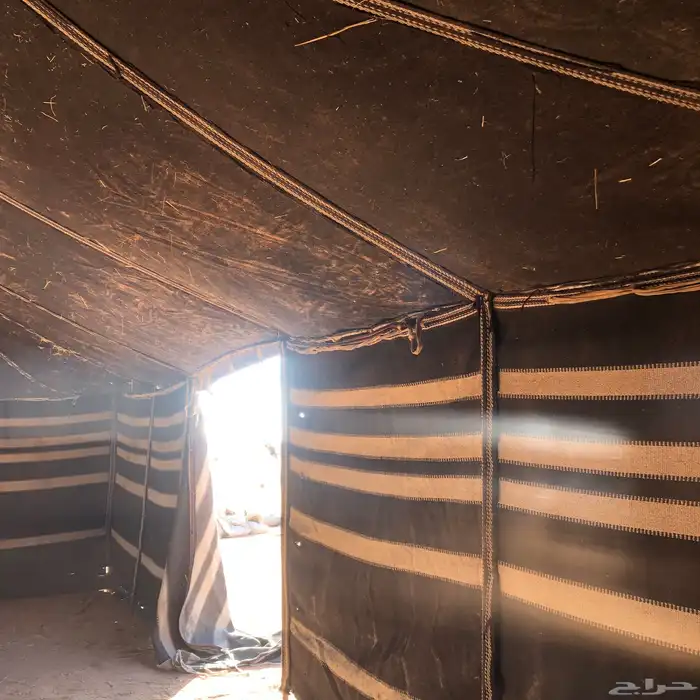 بيت شعر 5 11 تقريب ا 1