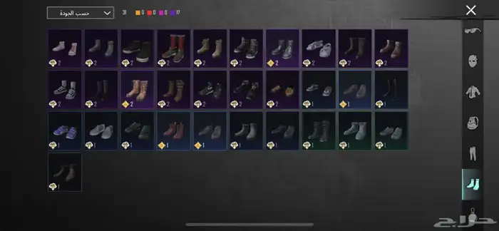 حساب ببجي للبيع 14