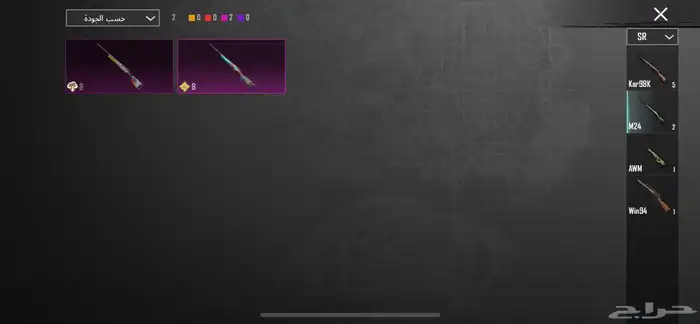 حساب ببجي العالميه للبدل 17