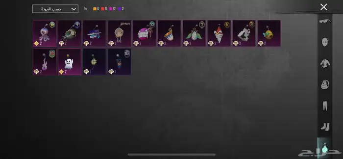 حساب ببجي للبيع 17