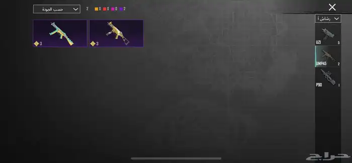 حساب ببجي للبيع (انفور ثلجي)الحد 160(لا ياجي إلا صامل ) 21