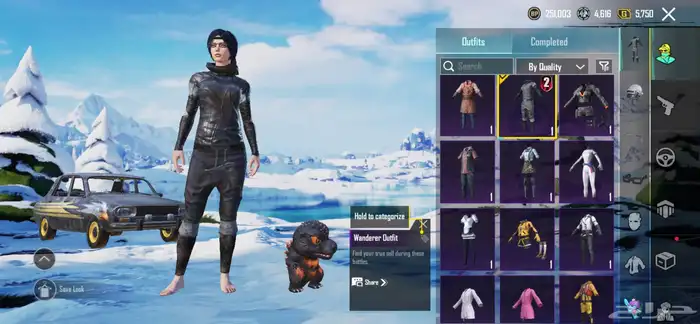 حساب ببجي للبيع او للبدل 14