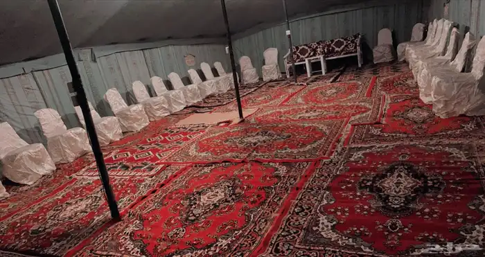 مخيم ليالي الصحراء VIP القصيم  البكيريه الخبراء 6