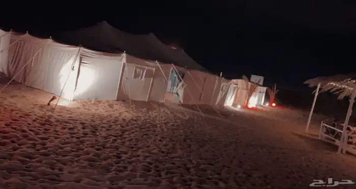 مخيم ليالي الصحراء VIP القصيم  البكيريه الخبراء 2