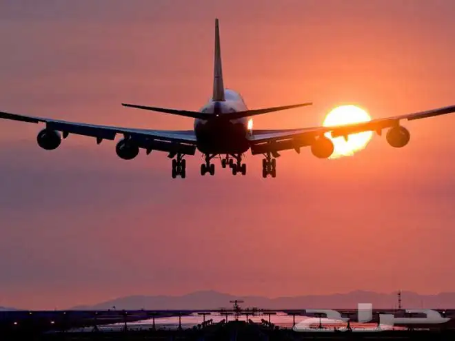 احجز لكم طيران اديل باقل سعر 0