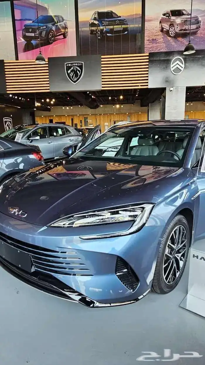 بي واي دي سيل 7 2025 0