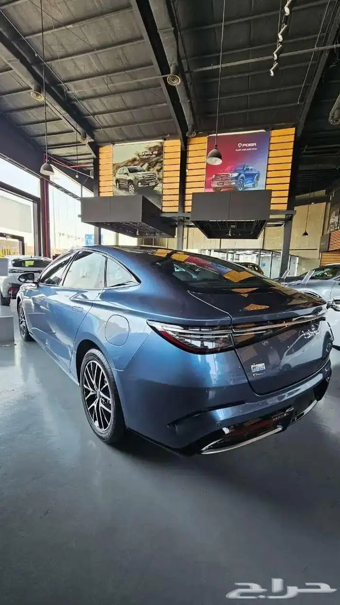 بي واي دي سيل 7 2025 5