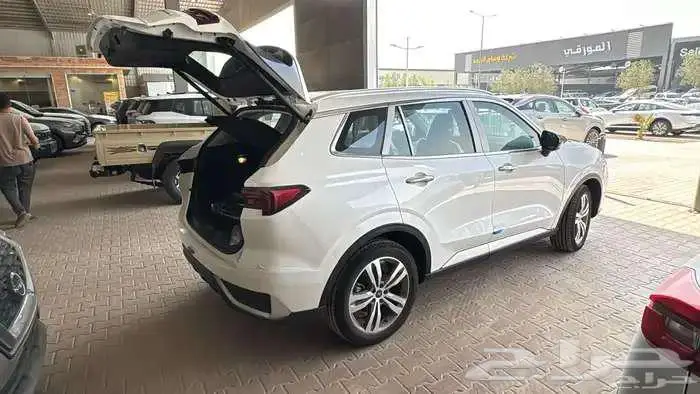 فورد ترتوري تتانيوم 10