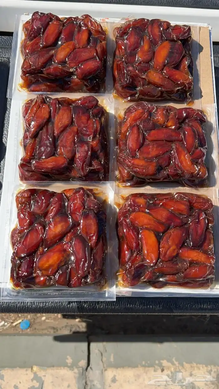 تمر صفري بيشة 1