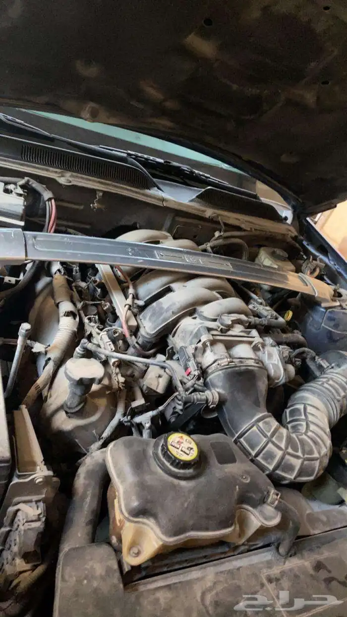 سيفتي او حامي المكينة حق موستنق 5.0 يركب من 11 الى14 3